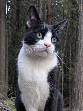 MEC jacket Bright Blue Hooded Fleece 3